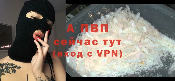 шишки Пересвет
