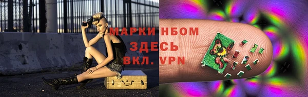 шишки Пересвет