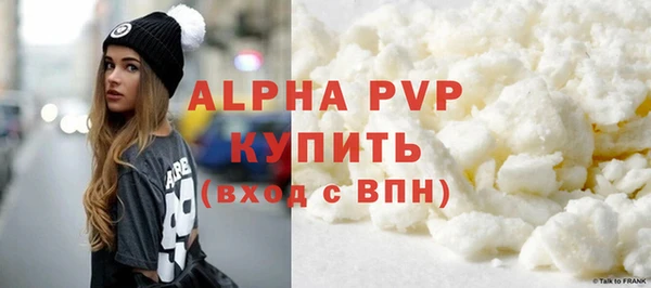шишки Пересвет