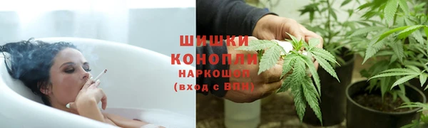 шишки Пересвет