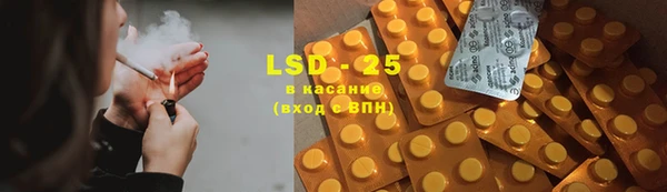 шишки Пересвет