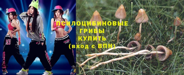 герыч Переславль-Залесский