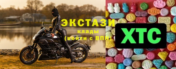 шишки Пересвет