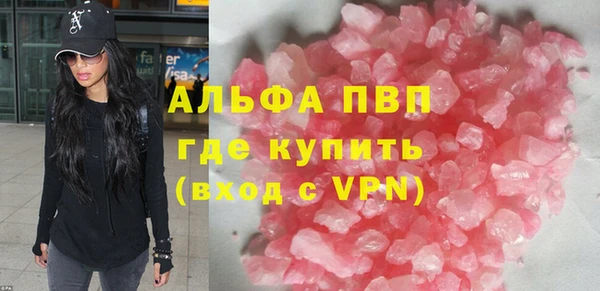 шишки Пересвет