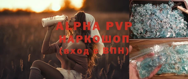 шишки Пересвет